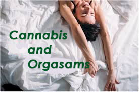 cannabis and orgasms