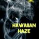 Hawaiian Haze Endo