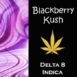 Delta Solutions Delta 8 Blackberry Kush 1 ml Cart