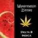 Delta Solutions Delta 8 Watermelon Zittles 1 ml Cart